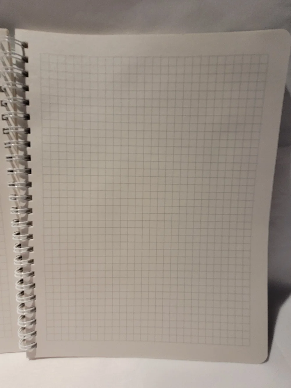 Fuku Fuku Nyanko Balloon Ring Notebook